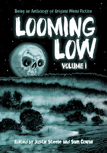 Looming Low Volume I edited by Justin Steele and Sam Cowan