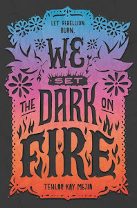We Set the Dark on Fire (We Set the Dark on Fire #1) by Tehlor Kay Mejia